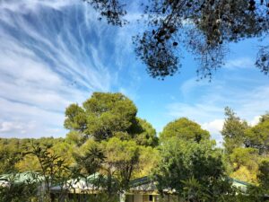 Freewheelen met Oma Camper 1