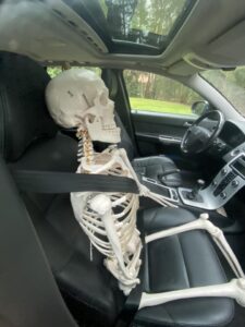 Workshop anatomie - 29 januari 2023